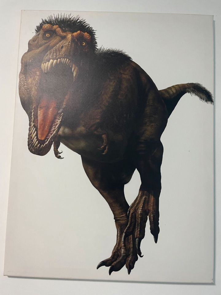 Dino Bild junge Kinderzimmer Dinosaurier große Leinwand Bild foto in Eppelsheim