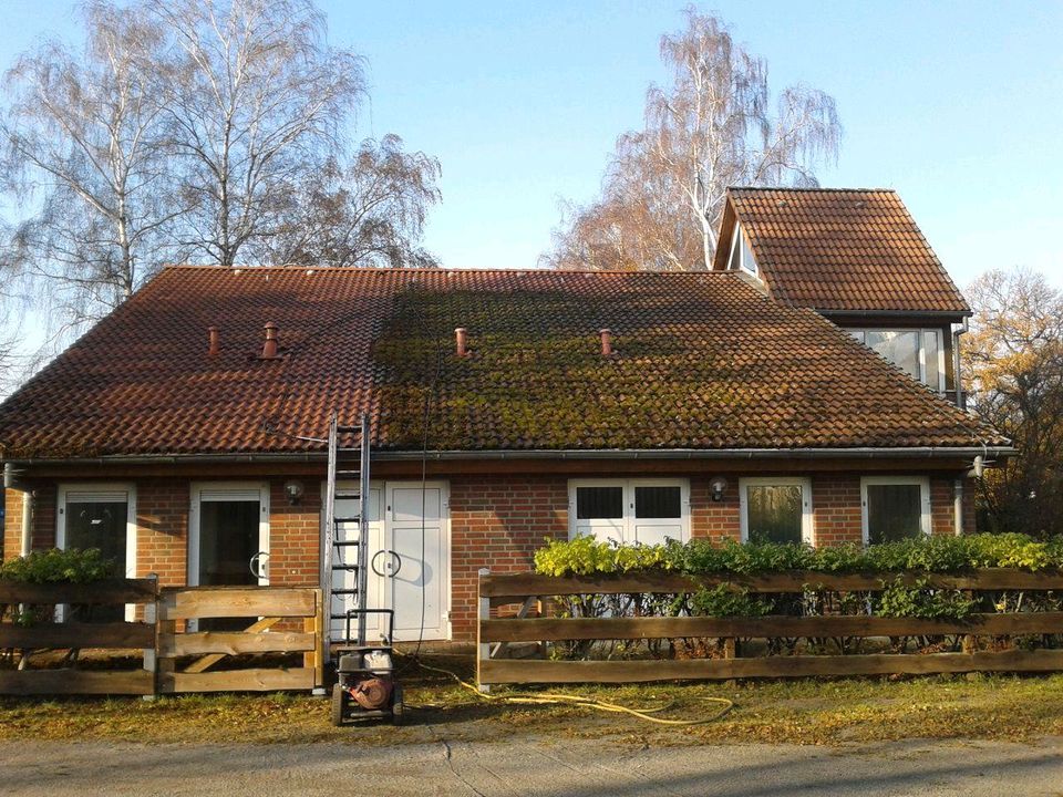 Dachreinigung & Dachbeschichtung in Rinteln