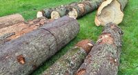Stammholz, Polter, Holz für Bretter Dielen, Brennholz Baden-Württemberg - Calw Vorschau
