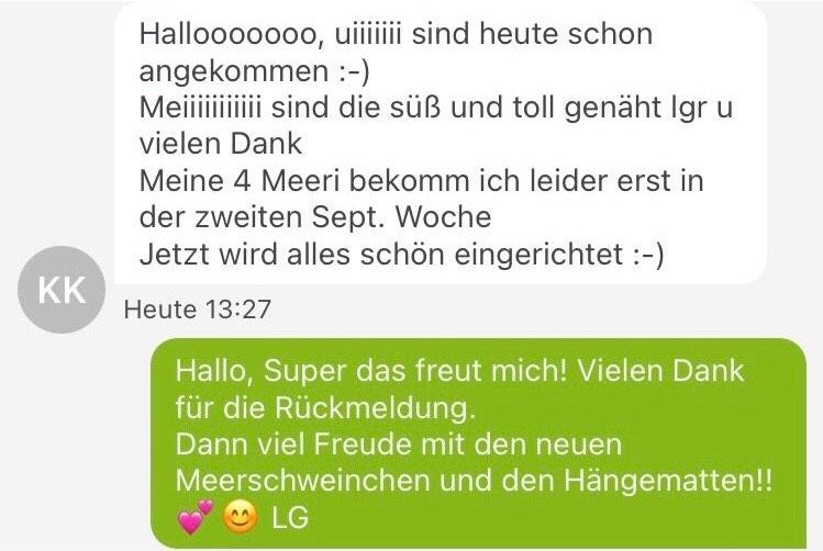 Kuschelsachen Hängematten für Meerschweinchen *kiBALUka Zubehör in Lüdenscheid