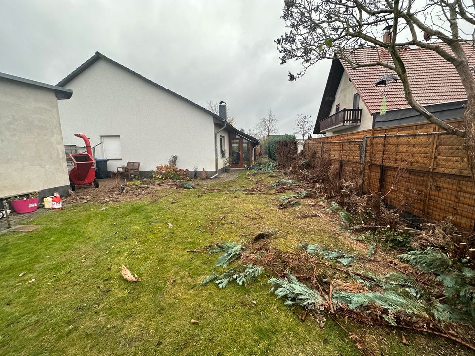 Hecke /Wurzeln entfernen/roden und entsorgen in Genthin