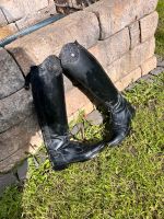 Reitstiefel QHP Nordrhein-Westfalen - Gladbeck Vorschau