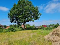 Nahe der Schlei: Tolles Baugrundstück in Ortsrandlage! Schleswig-Holstein - Tolk Vorschau