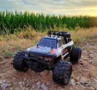 RC Monster Truck US YANKEE ferngesteuertes Auto Buggy 2,4 Ghz. RT Bayern - Rottenburg a.d.Laaber Vorschau