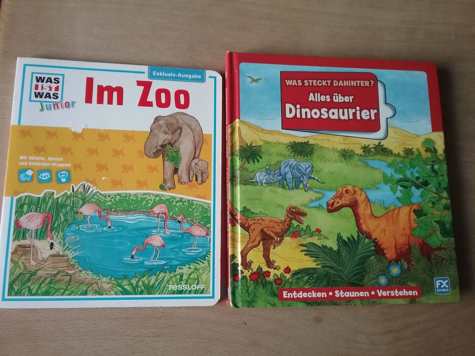 Buch Kinder Alles über Dinosaurier Im Zoo Entdeckerklappen in Monheim