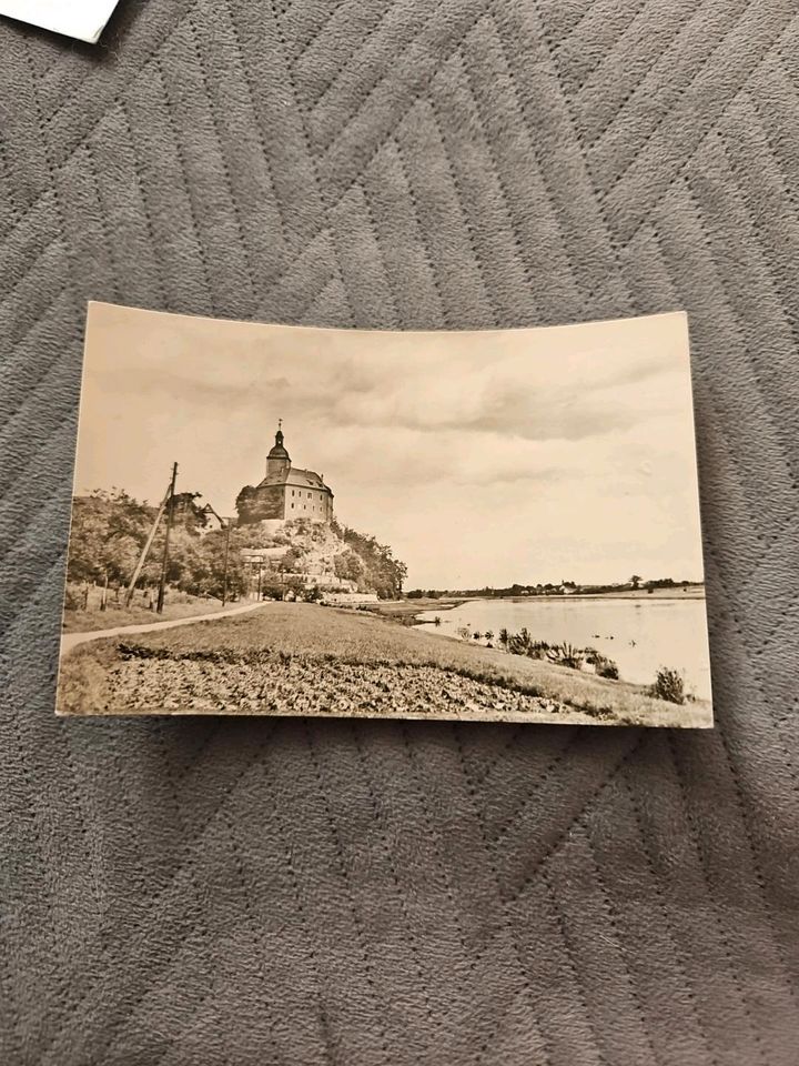 Ansichtskarte Postkarte Riesa - Schloss Hirschstein in Neustadt a. d. Waldnaab