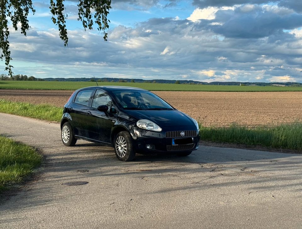 Fiat Punto Euro5 Tüv Neu Bremsen neu Sehr Gepflegt in Fraunberg