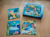 Ravensburger Puzzles "Vögel", 3×49 Teile Nordrhein-Westfalen - Rösrath Vorschau