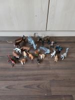 Schleich Schleichfiguren Sammlung Tiere Kinder Spielzeug Baden-Württemberg - Ebersbach an der Fils Vorschau