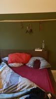 Korb Rattan Bett 1,40 x 2,0 m Essen-West - Holsterhausen Vorschau