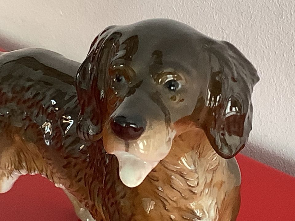 Hund von Rosenthal ohne Markel 24 cm lang Jagdhund in Waltrop