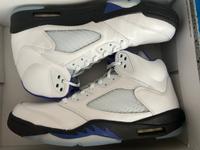 Nike Air Jordan 5 Retro Neu Gr 46 Sachsen - Reinsdorf Vorschau