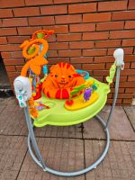 Jumperoo von Fisher price Niedersachsen - Rehden Vorschau