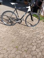 Herren fahrrad Cabon BB Costom 28 zoll [21] Baden-Württemberg - Nattheim Vorschau