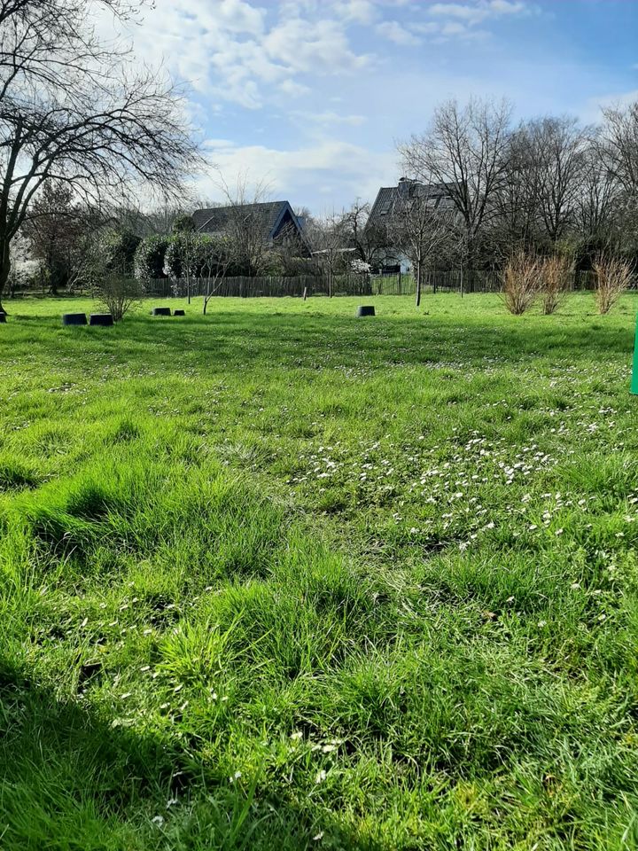 Grundlage für Ihr neues Zuhause - Freistehendes Haus mit verwunschenem Garten in Korschenbroich