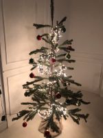 Ikea VINTER künstlicher Weihnachtsbaum Bonn - Poppelsdorf Vorschau