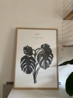 Poster All the way to Paris Monstera Flora 1 2014 Altona - Hamburg Ottensen Vorschau