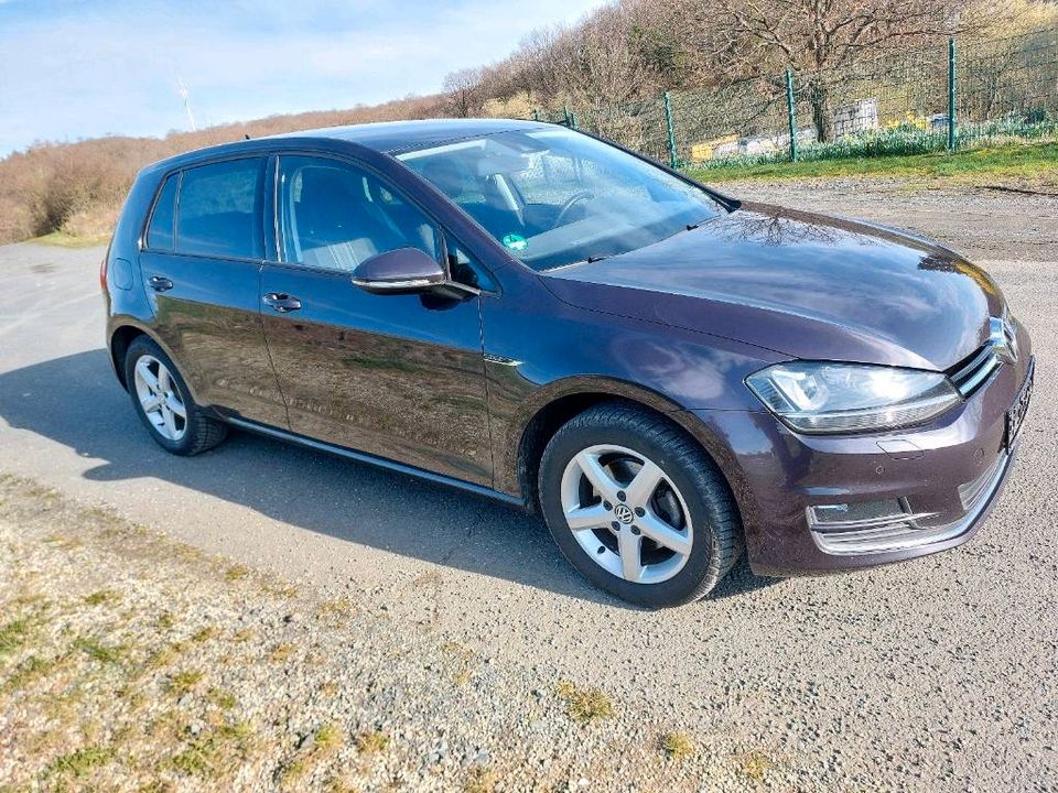 VW Golf VII Lounge 1.4 TSI **ACC**Standheizung**Xenon** in Aßlar