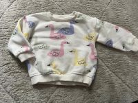 Zara Sweater / Sweatshirt / Pullover Gr. 74 Brandenburg - Hohen Neuendorf Vorschau