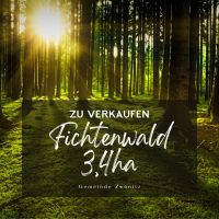 Wald Waldgrundstück Erzgebirge Gemeinde Zwönitz 3,4 ha Hectar Sachsen - Zwoenitz Vorschau