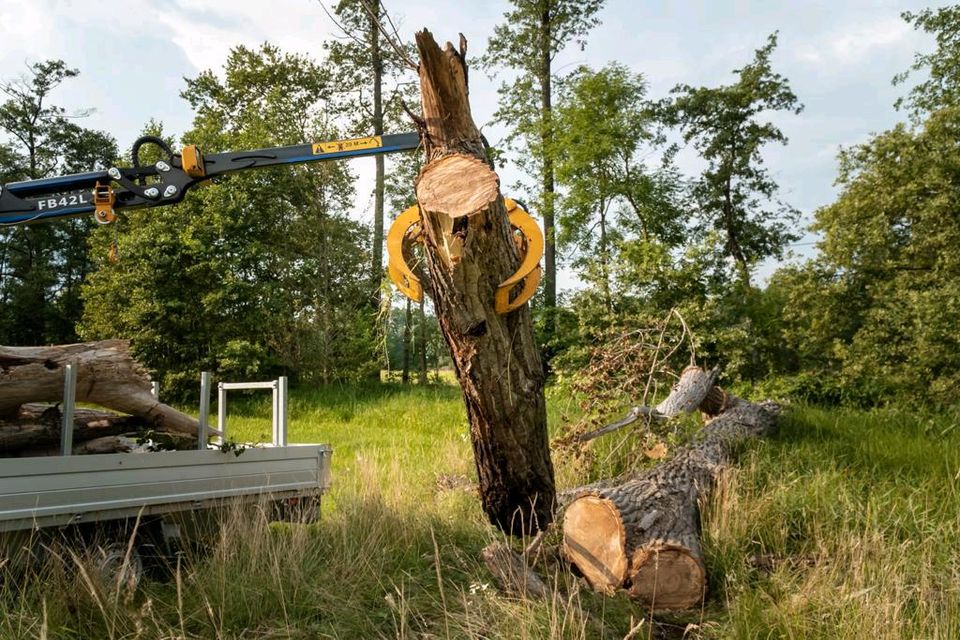 Sägespaltautomat mieten in Vetschau