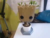 XXXL Funko Pop Groot Niedersachsen - Lachendorf Vorschau