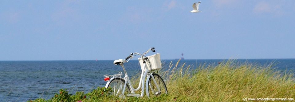 Last Minute Ostsee Urlaub mit Hund Schönberger Strand 09. - 16.06 in Schönberg (Holstein)