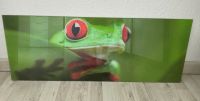 Wandbild Frosch 30 x 80 cm Brandenburg - Rathenow Vorschau