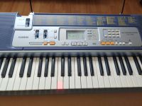 Keyboard Piano Casio LK-110 leuchtende Tasten zum Lernen Rheinland-Pfalz - Igel Vorschau
