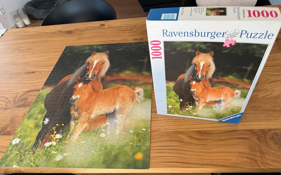 3* 1000 Ravensburger Puzzle Spiel Hund Pferd New York in Hirschaid