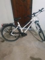 Pegasus opero sl disc  28"(Damenfahrrad) Niedersachsen - Wolfsburg Vorschau