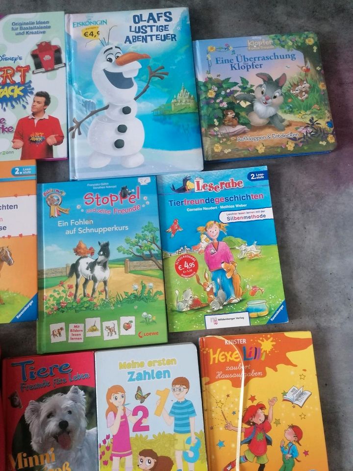 Schultüte Einschulung Pferd Zahlen Buchstaben Erstlese Elsa in Nieheim