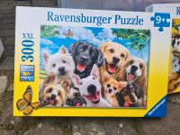 Puzzel Hunde Sachsen-Anhalt - Magdeburg Vorschau