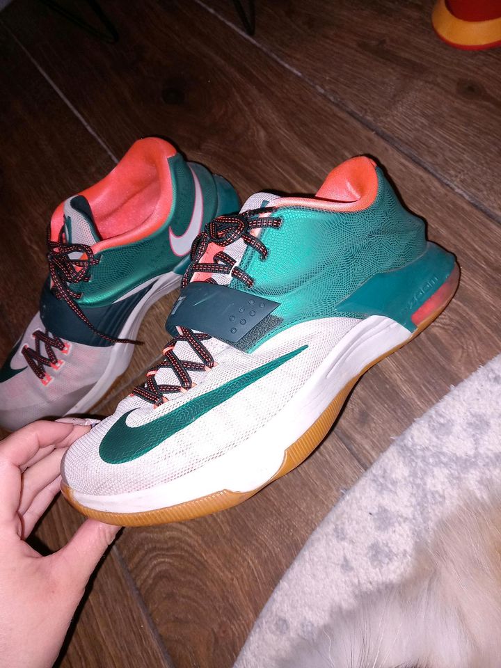 Nike Schuhe KD 7 Easy Money in Steinberg am See