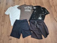 Shorts und T-shirts in Gr. S von H&M,  Zara, fsbn Niedersachsen - Landesbergen Vorschau