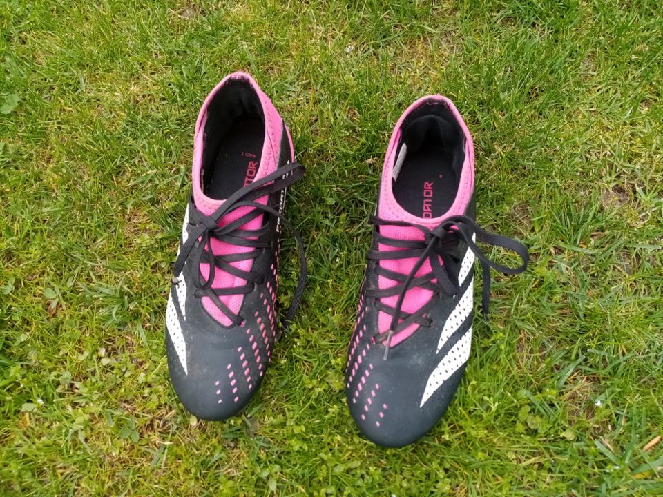 adidas Predator Jungen Fußballschuhe  sehr gut erhalten in Arnsdorf