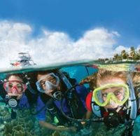 Open Water Diver OWD PADI eLearning Tauchschein - Theorie Nordrhein-Westfalen - Oberhausen Vorschau