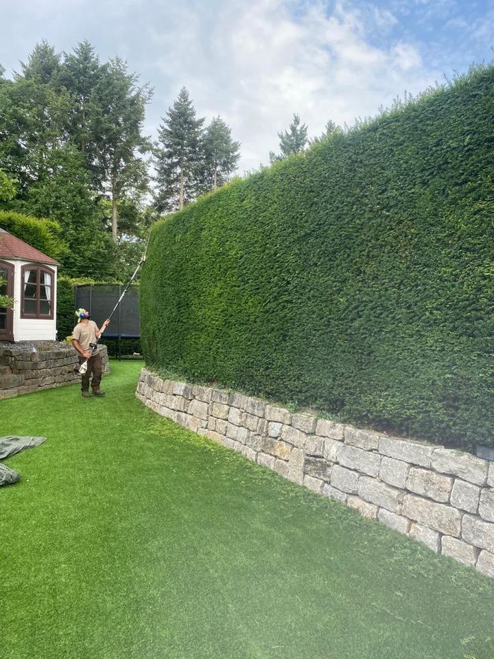 Hecke schneiden Garten Bagger Arbeit Garten Bau in Homberg