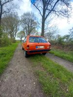 Ford Fiesta mk2 oldtimer 1984 h Zulassung daily driver Schleswig-Holstein - Bargenstedt Vorschau