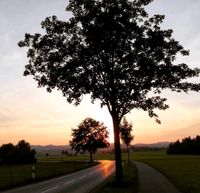 Tochter auf der Suche: Neues Zuhause in Lauben Bayern - Lauben Vorschau