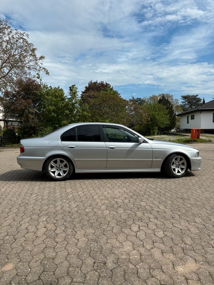 BMW E39 520i in Bad Kreuznach