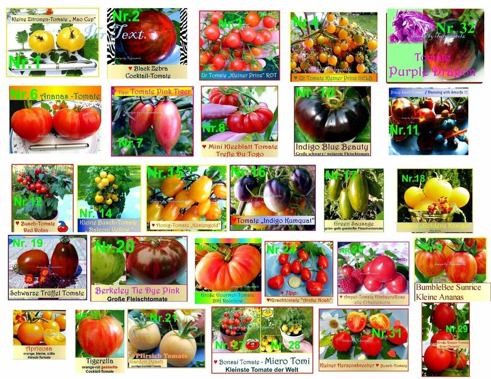 ♥ BIO Alte Sorte Tomaten FROSCHKÖNIGS GOLDKUGEL,Samen,Garten,Rari in Hamburg