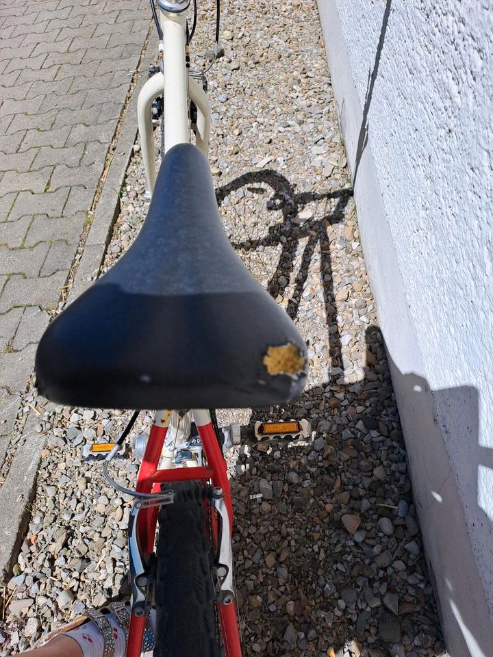 Fahrrad Kids 26 Zoll reperaturbedürftig in Obergünzburg