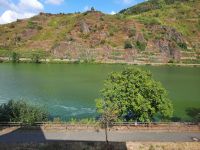 Ferienwohnung mit direktem Blick auf die Mosel. Rheinland-Pfalz - Ellenz-Poltersdorf Vorschau