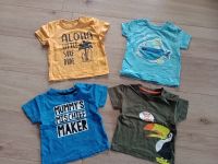 4 T-Shirts Palme Fisch Hai Tukan Niedersachsen - Bodenwerder Vorschau