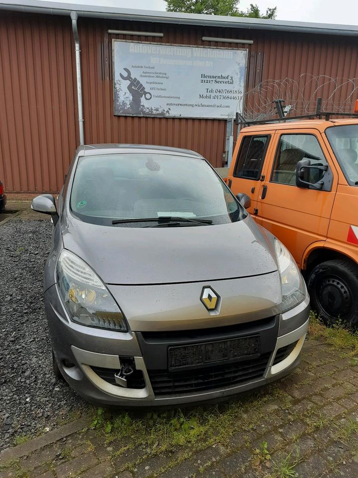 Renault Scenic III Schlachtfest in Seevetal