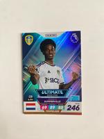 Summerville Rising Star , Panini Premier League Schleswig-Holstein - Glückstadt Vorschau
