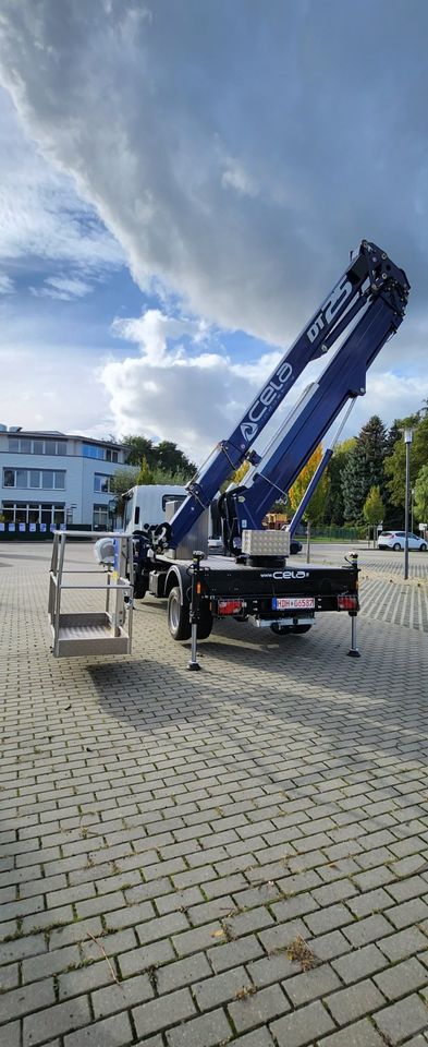 PKW Führerschein ausreichend Baumfällung Arbeitsbühne mieten in Berlin