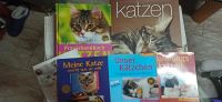 Katzenbücher zu verkaufen Baden-Württemberg - Schwaigern Vorschau