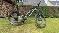 Specialized Stumpjumper evo comp 29 (sehr selten gefahren) Rheinland-Pfalz - Föhren bei Trier Vorschau